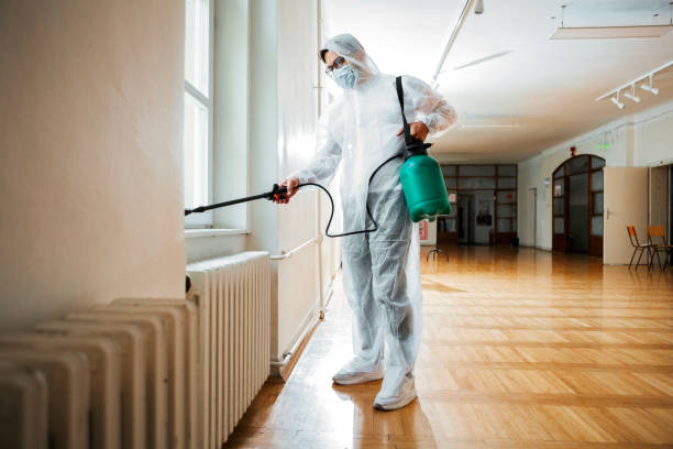 Pest Prevention Services in Kiryas Joel, NY