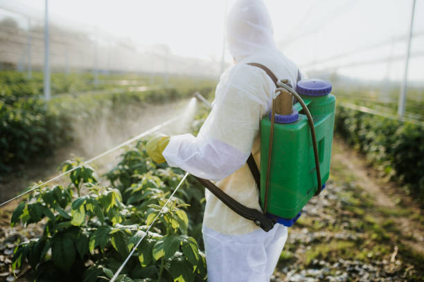 Insect Control in Kiryas Joel, NY